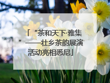 “茶和天下·雅集”——壮乡茶韵展演活动亮相悉尼
