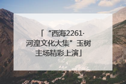 “西海2261·河湟文化大集”玉树主场精彩上演