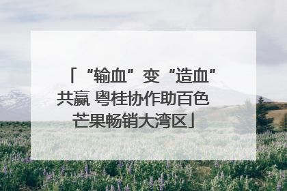 “输血”变“造血”共赢 粤桂协作助百色芒果畅销大湾区