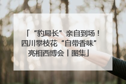 “豹局长”亲自到场！四川攀枝花“自带香味”亮相西博会丨图集