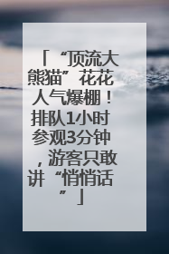 “顶流大熊猫”花花人气爆棚！排队1小时参观3分钟，游客只敢讲“悄悄话”
