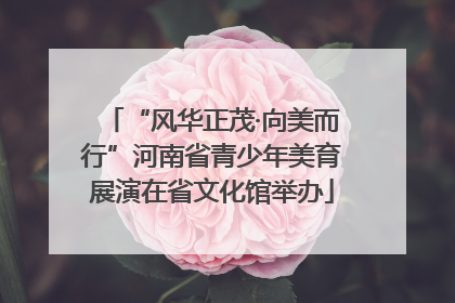 “风华正茂·向美而行”河南省青少年美育展演在省文化馆举办