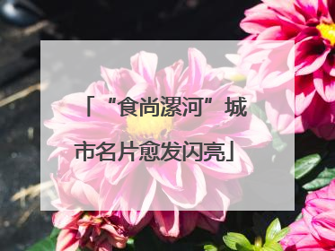 “食尚漯河”城市名片愈发闪亮