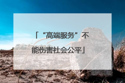 “高端服务”不能伤害社会公平