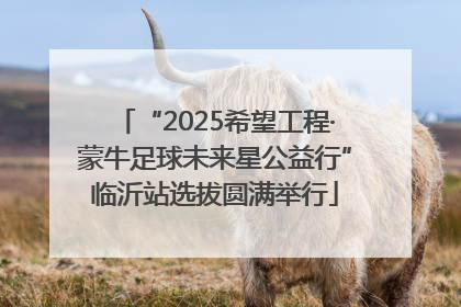 “2025希望工程·蒙牛足球未来星公益行”临沂站选拔圆满举行