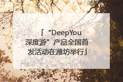 “DeepYou深度游”产品全国首发活动在潍坊举行