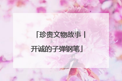 珍贵文物故事丨开诚的子弹钢笔