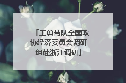 王勇带队全国政协经济委员会调研组赴浙江调研