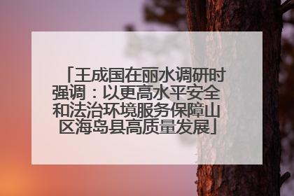 王成国在丽水调研时强调：以更高水平安全和法治环境服务保障山区海岛县高质量发展