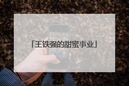 王铁强的甜蜜事业