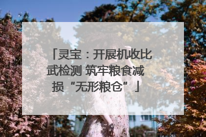 灵宝：开展机收比武检测 筑牢粮食减损“无形粮仓”