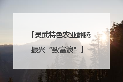 灵武特色农业翻腾振兴“致富浪”