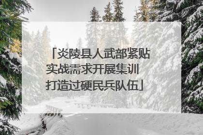 炎陵县人武部紧贴实战需求开展集训 打造过硬民兵队伍