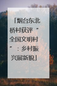 烟台东北桥村获评“全国文明村”：乡村振兴展新貌