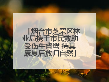 烟台市芝罘区林业局携手市民救助受伤牛背鹭 待其康复后放归自然