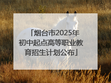 烟台市2025年初中起点高等职业教育招生计划公布