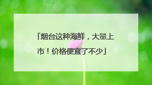 烟台这种海鲜，大量上市！价格便宜了不少