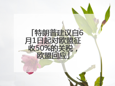 特朗普建议自6月1日起对欧盟征收50%的关税，欧盟回应