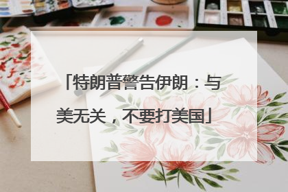 特朗普警告伊朗：与美无关，不要打美国