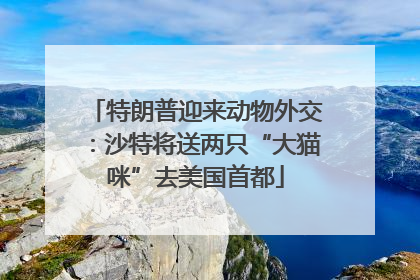 特朗普迎来动物外交：沙特将送两只“大猫咪”去美国首都
