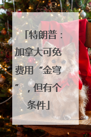 特朗普：加拿大可免费用“金穹”，但有个条件