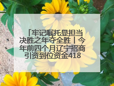 牢记嘱托显担当 决胜之年夺全胜丨今年前四个月辽宁招商引资到位资金4186.8亿元，同比增长17.4%