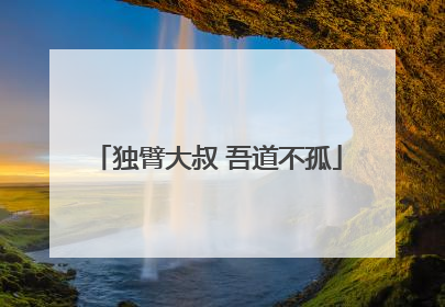 独臂大叔 吾道不孤