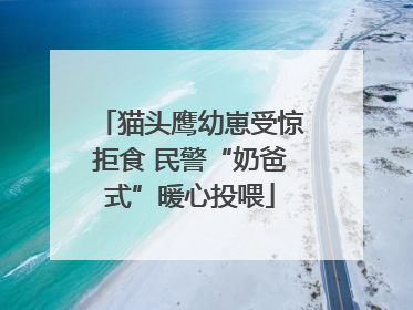 猫头鹰幼崽受惊拒食 民警“奶爸式”暖心投喂