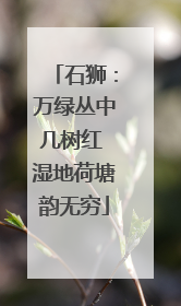 石狮：万绿丛中几树红 湿地荷塘韵无穷