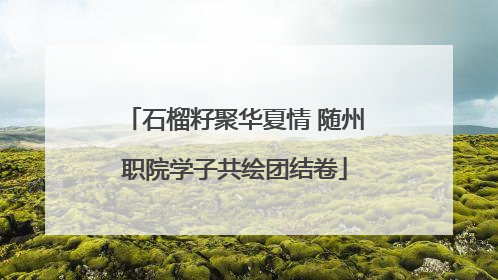 石榴籽聚华夏情 随州职院学子共绘团结卷