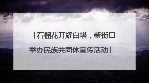 石榴花开耀白塔，新街口举办民族共同体宣传活动