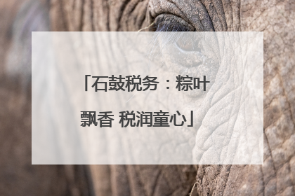 石鼓税务：粽叶飘香 税润童心