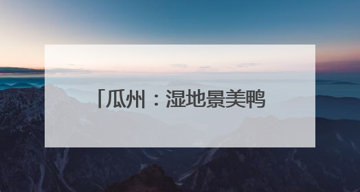 瓜州：湿地景美鸭先知 赤麻鸭为荒漠湿地“上大分”
