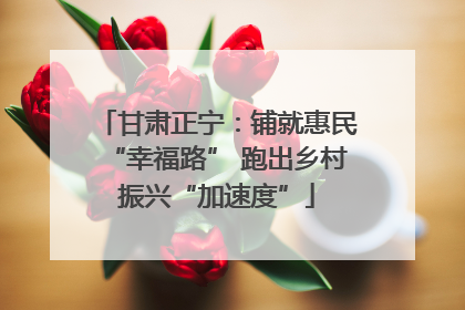 甘肃正宁：铺就惠民“幸福路” 跑出乡村振兴“加速度”