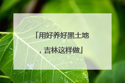 用好养好黑土地，吉林这样做