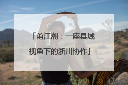 甬江潮：一座县域视角下的浙川协作