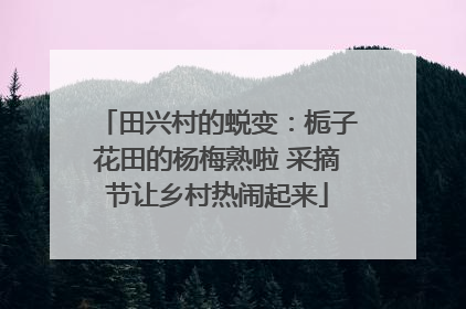 田兴村的蜕变：栀子花田的杨梅熟啦 采摘节让乡村热闹起来
