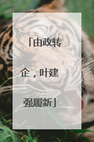 由政转企，叶建强履新