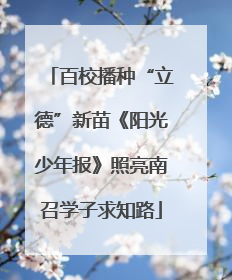 百校播种“立德”新苗《阳光少年报》照亮南召学子求知路