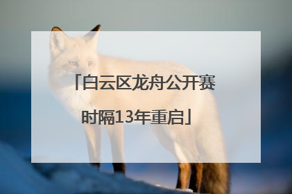 白云区龙舟公开赛时隔13年重启