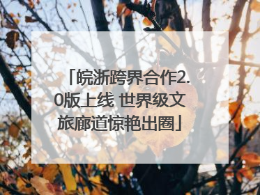 皖浙跨界合作2.0版上线 世界级文旅廊道惊艳出圈