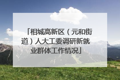 相城高新区（元和街道）人大工委调研新就业群体工作情况