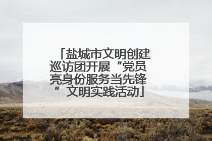 盐城市文明创建巡访团开展“党员亮身份服务当先锋”文明实践活动