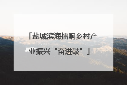 盐城滨海擂响乡村产业振兴“奋进鼓”