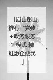 眉山彭山推行“党建+政务服务”模式 精准惠企便民