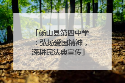 砀山县第四中学：弘扬爱国精神，深耕民法典宣传