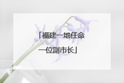 福建一地任命一位副市长