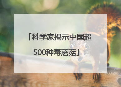 科学家揭示中国超500种毒蘑菇