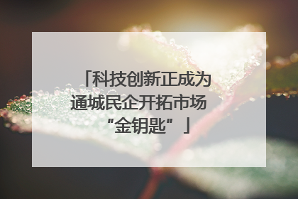 科技创新正成为通城民企开拓市场“金钥匙”