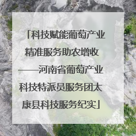 科技赋能葡萄产业 精准服务助农增收——河南省葡萄产业科技特派员服务团太康县科技服务纪实